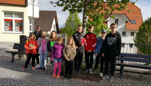 zur Galerie